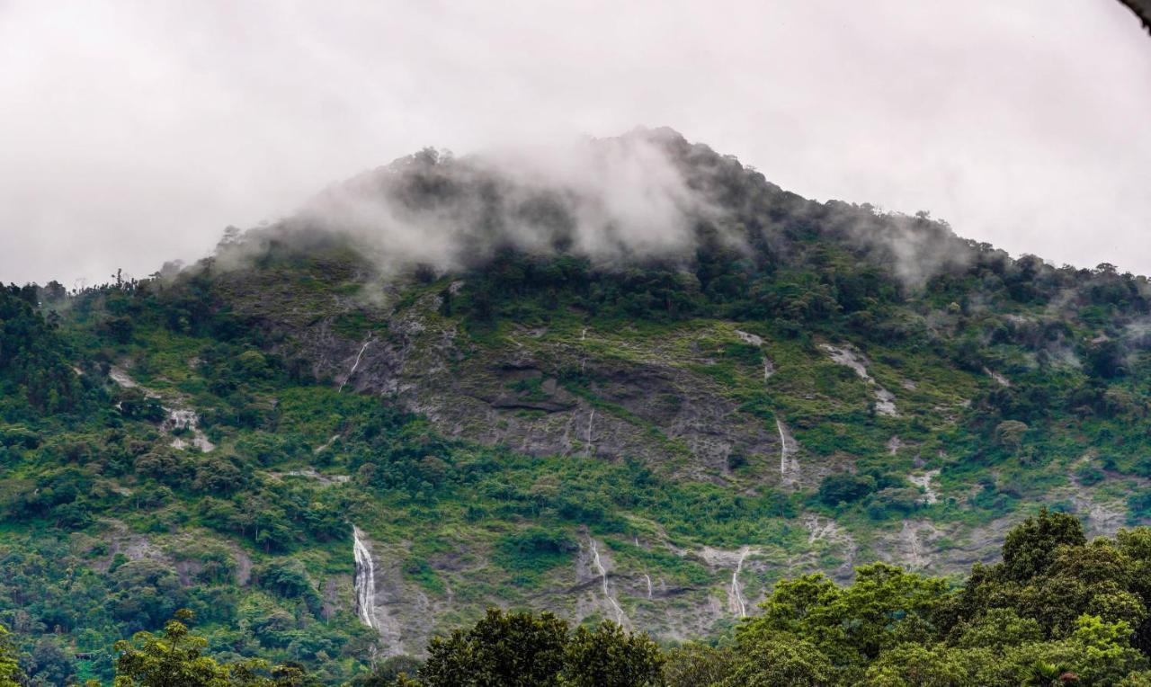 Misty Garden And Munnar
