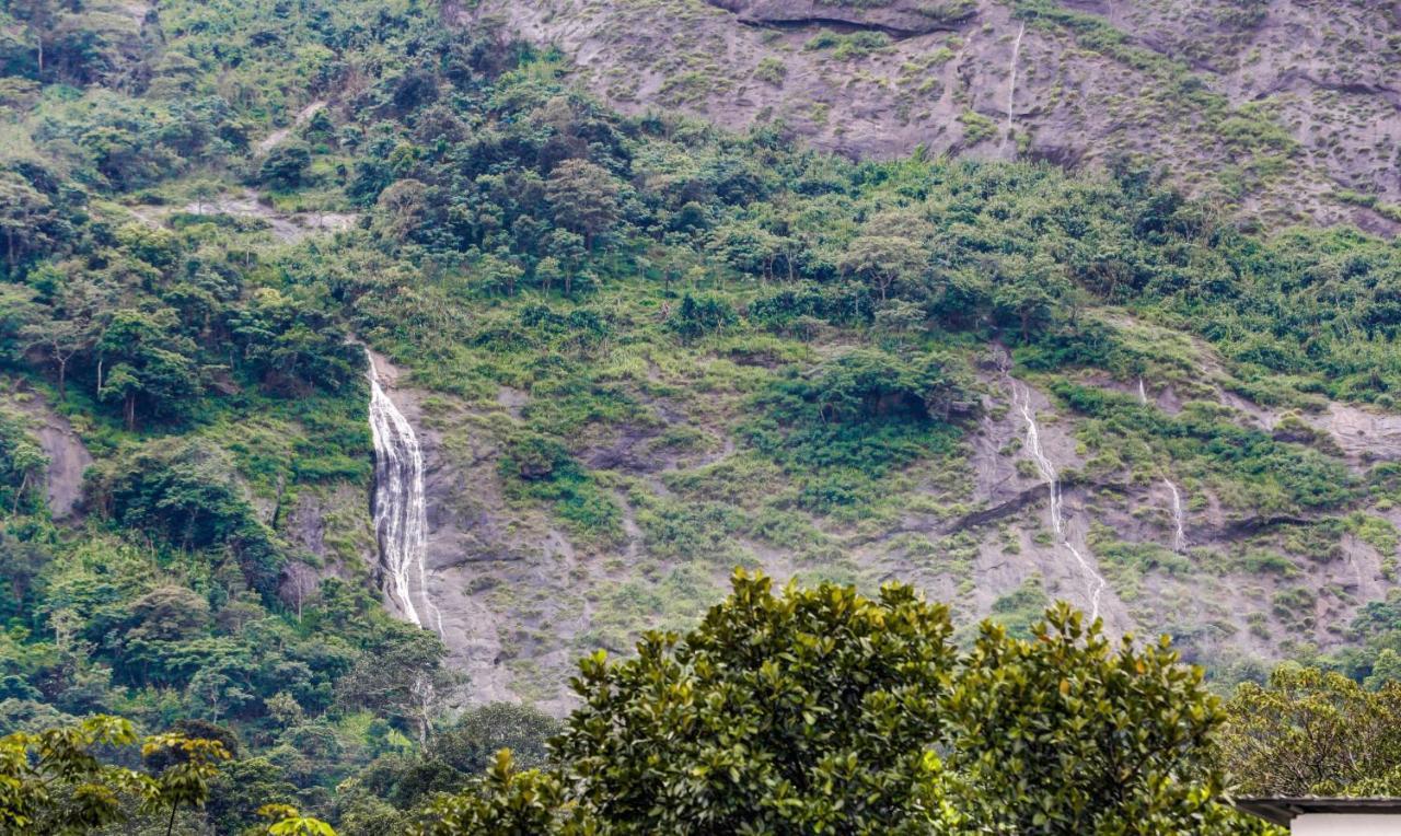 Resort Misty Garden And Munnar