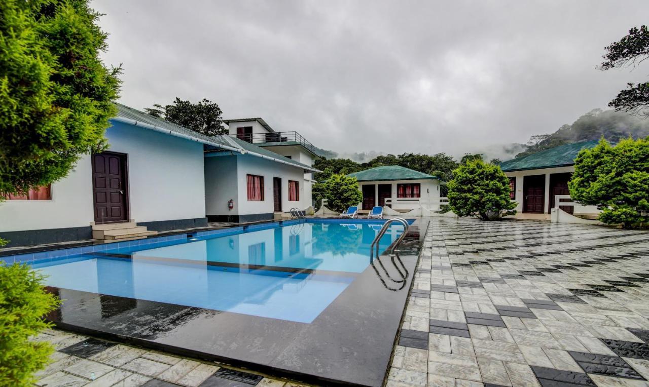 Misty Garden And Munnar