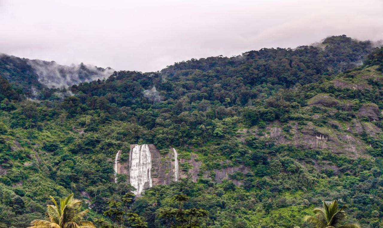 Misty Garden And Munnar